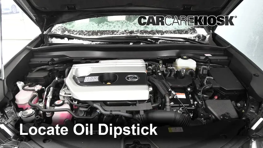 2021 Lexus UX250h 2.0L 4 Cyl. Oil Check Oil Level
